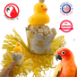 2703 Ducky Bath  Bird Toy