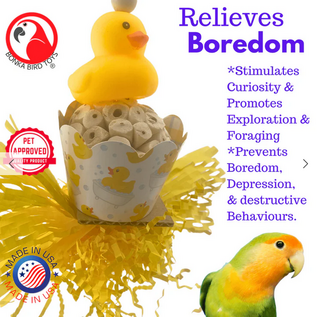 2703 Ducky Bath  Bird Toy