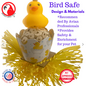 2703 Ducky Bath  Bird Toy