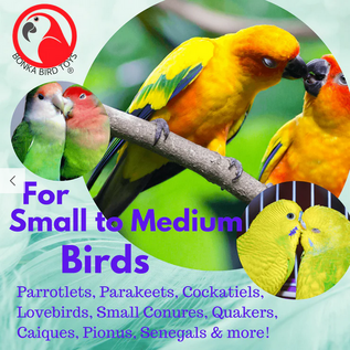 2703 Ducky Bath  Bird Toy