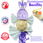 2580 Sola Bunny Purple Bird Toy