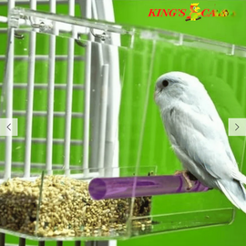 KING'S CAGES Kings Cages Small Tweeky Clean Tidy Bird Feeder