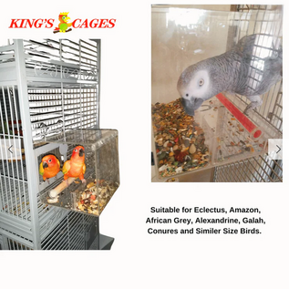 KING'S CAGES Kings Cages Large Tweeky Clean Tidy Bird Feeder