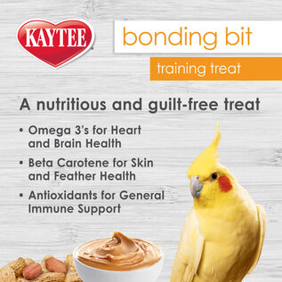 KAYTEE Kaytee Bonding Bits Peanut Butter Flavored Bird Training Treats, 3-oz bag