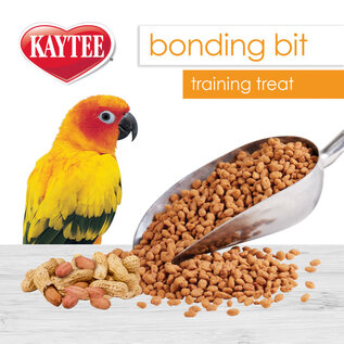 KAYTEE Kaytee Bonding Bits Peanut Butter Flavored Bird Training Treats, 3-oz bag