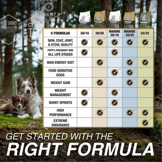 INUKSHUK PROFESSIONAL DOG FOOD Inukshuk Professional Dog Food Pro 26/16 High Energy Dog Food, 33-Pound Bag