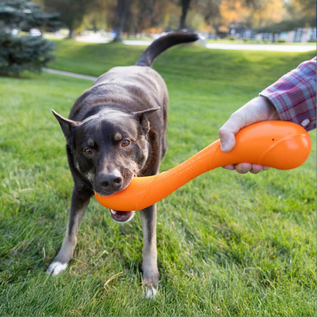 KONG KONG Squeakz Stick Ropes Tug Dog Toy, Orange, Large