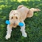 KONG KONG Squeakz Stick Ropes Tug Dog Toy, Blue, Medium