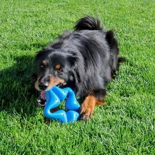 KONG KONG SQUEAKZ STAR MEDIUM