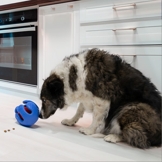 KONG KONG Rewards Wrapz Treat Dispensing Dog Toy, Blue Red, Medium/Large