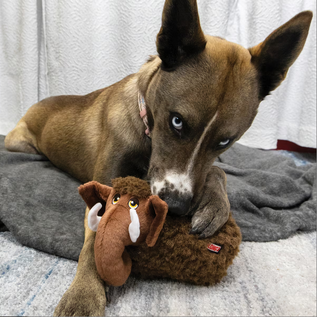 KONG KONG TOUGHZ MAMMOTH MEDIUM