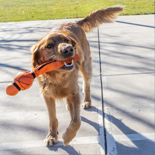 KONG KONG Wubba Sport Basketball Squeaky Plush Dog Toy, Orange, Large