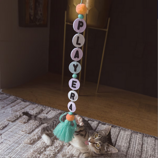 KONG KONG Teaser Friendship Cat Toy with Catnip, Multicolor