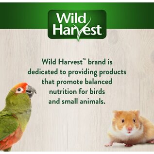 Wild Harvest Fruit Kabobs Bird Treats, 6 count
