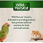 Wild Harvest Fruit Kabobs Bird Treats, 6 count