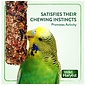 Wild Harvest Treat Stick with Tough Core for Small and Medium Birds