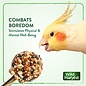 Wild Harvest Bake Shop Seed Pops for All Birds 2.18 oz.