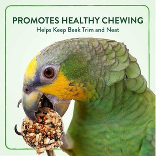 Wild Harvest Bake Shop Seed Pops for All Birds 2.18 oz.