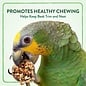 Wild Harvest Bake Shop Seed Pops for All Birds 2.18 oz.