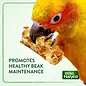 WILD HARVEST CRUNCH BARS BIRD TREAT- 18 Count