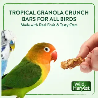 WILD HARVEST CRUNCH BARS BIRD TREAT- 18 Count
