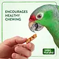 WILD HARVEST CRUNCH BARS BIRD TREAT- 18 Count