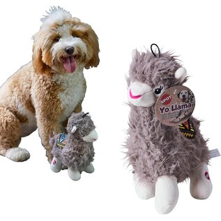 SPOT SPOT Yo Llama with Squeaker Plush Toy for Small/Medium Dogs & Puppies -10in...