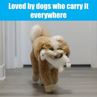 SPOT SPOT Yo Llama with Squeaker Plush Toy for Small/Medium Dogs & Puppies -10in...