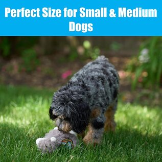 SPOT SPOT Yo Llama with Squeaker Plush Toy for Small/Medium Dogs & Puppies -10in...