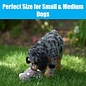 SPOT SPOT Yo Llama with Squeaker Plush Toy for Small/Medium Dogs & Puppies -10in...