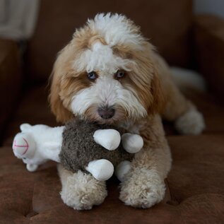 SPOT SPOT Yo Llama with Squeaker Plush Toy for Small/Medium Dogs & Puppies -10in...