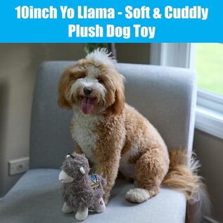 SPOT SPOT Yo Llama with Squeaker Plush Toy for Small/Medium Dogs & Puppies -10in...