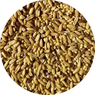 TOP'S PARROT FOOD TOP's Parrot Food Organic Napoleon Seed Mix Small 1-lb bag