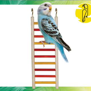 CAITEC Caitec Parakeet Ladder, 4" x 10"  #00277