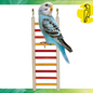 CAITEC Caitec Parakeet Ladder, 4" x 10"  #00277