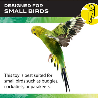 CAITEC Caitec Parakeet Ladder, 4" x 10"  #00277
