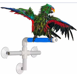 SUPER BIRD CREATIONS Super Bird Creations SB-126 Fold Away Shower Perch 9.5 x 11 x 8 inches