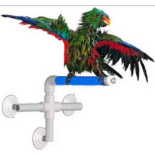 SUPER BIRD CREATIONS Super Bird Creations SB-126 Fold Away Shower Perch 9.5 x 11 x 8 inches
