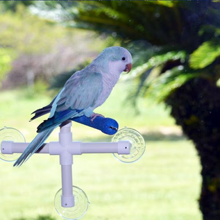 SUPER BIRD CREATIONS Super Bird Creations SB-126 Fold Away Shower Perch 9.5 x 11 x 8 inches