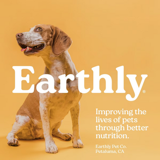 Earthly Pet EARTHLY  PILL BUDDY NATURALS  PEANUT BUTTER & BANANA - 30 COUNT