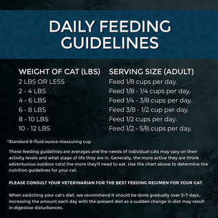 FUSSIE CAT Fussie Cat Market Fresh Salmon Recipe Grain-Free Dry Cat Food, 3.5-lb bag