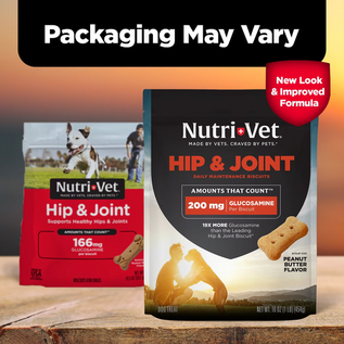 Nutri-Vet Hip & Joint Regular Strength Biscuits for  Small & Medium Dogs Peanut Butter Flavor Treats