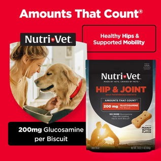 Nutri-Vet Hip & Joint Regular Strength Biscuits for  Small & Medium Dogs Peanut Butter Flavor Treats