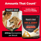 Nutri-Vet Hip & Joint Regular Strength Biscuits for  Small & Medium Dogs Peanut Butter Flavor Treats