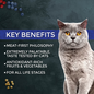 FUSSIE CAT Fussie Cat Market Fresh Tuna Recipe Grain-Free Dry Cat Food, 3.5-lb bag