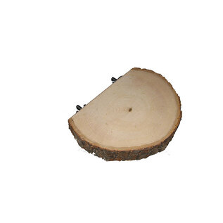 Mighty Bird #30305 Basswood Perch Large