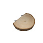 Mighty Bird #30305 Basswood Perch Large
