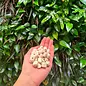 JUNGLE JUNCTION Sola Beads Natural Bird Toy Bulk Ziplock Bag 10 grams