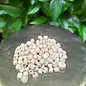 JUNGLE JUNCTION Sola Beads Natural Bird Toy Bulk Ziplock Bag 10 grams