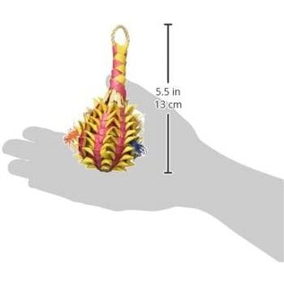 Planet Pleasure #03364 Pineapple Foraging Pinata Small